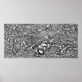 Edward Burne-Jones The Briar Wood Poster (Voorkant)