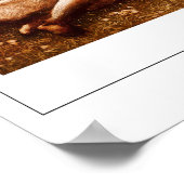 Edward Burne-Jones Zedign Art Poster #18 (Hoek)