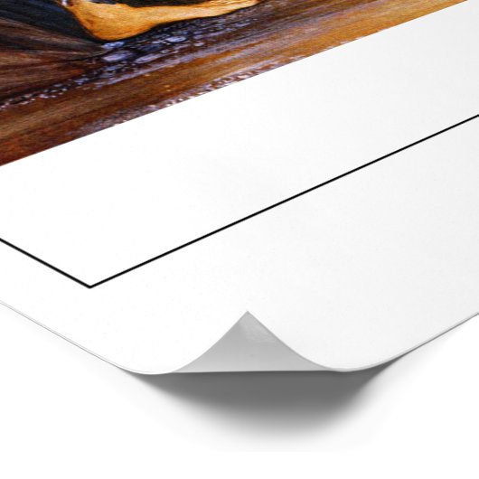 Edward Burne-Jones Zedign Art Poster #258 (Hoek)