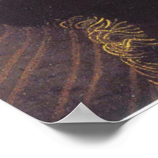 Edward de Vere, 17th Earl of Oxford Poster (Hoek)