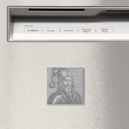 Edward, de Zwarte Prins Magneet (Insitu (Vaatwasser))