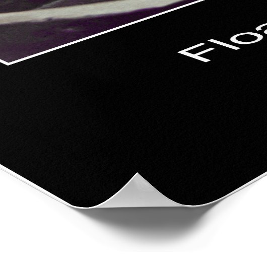 Edward H. White II - Floating out of Gemini 4 Poster (Hoek)