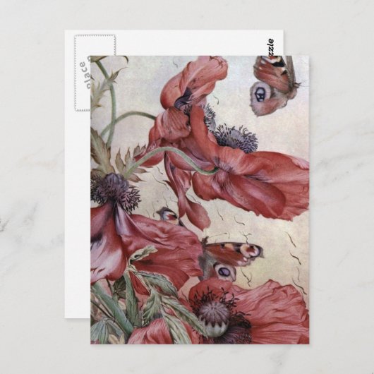 Edward Julius Detmold Poppies en Butterflies Briefkaart (Voorkant / Achterkant)