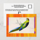 Edward Lear. Barnard's Paraket. Briefkaart (Voorkant / Achterkant)
