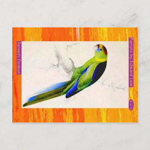 Edward Lear. Barnard's Paraket. Briefkaart