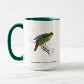 Edward Lear Bird Collectie Red Fronted Paraket Mok (Links)