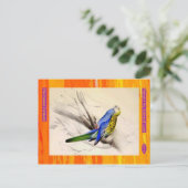 Edward Lear. Bleke parkiet. Briefkaart (Staand voorkant)