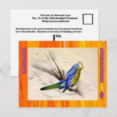 Edward Lear. Bleke parkiet. Briefkaart (Voorkant / Achterkant)