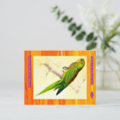Edward Lear. Dwarf Paraket Macaw. Briefkaart (Staand voorkant)