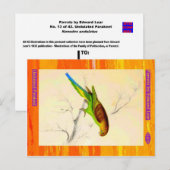 Edward Lear. Onvervalste parkiet. Briefkaart (Voorkant / Achterkant)