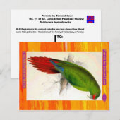 Edward Lear. Parkiet Macaw, met lange kieuwen. Briefkaart (Voorkant / Achterkant)