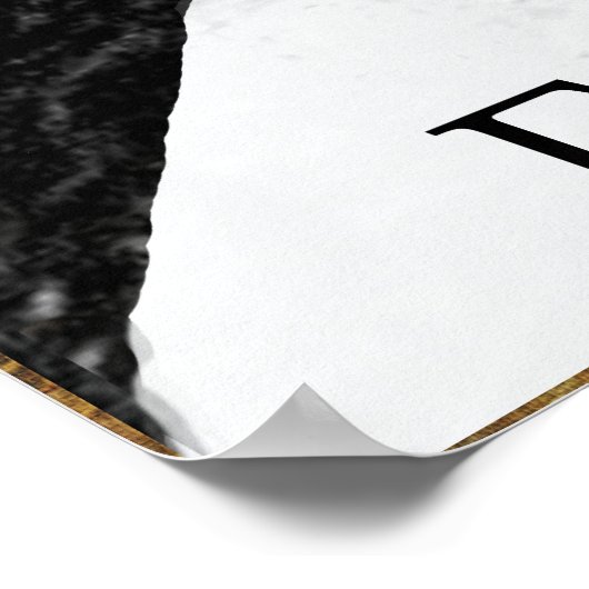 Edward Lear Poster (Hoek)