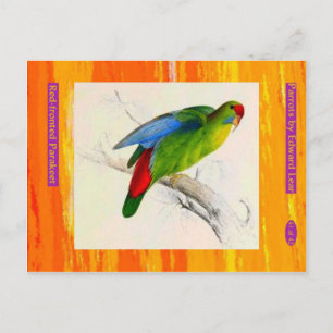 Edward Lear. Rode Parkiet. Briefkaart