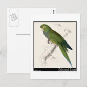 Edward Lear's Dwarf Paraket-Macaw Briefkaart (Voorkant / Achterkant)