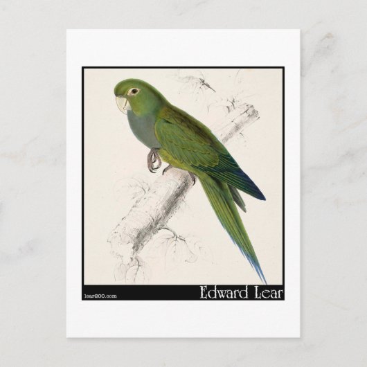Edward Lear's Dwarf Paraket-Macaw Briefkaart (Voorkant)