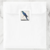Edward Lear's Hyacint Macaw Vierkante Sticker (Tas)