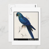 Edward Lear's Hyacinth Macaw Briefkaart (Voorkant / Achterkant)
