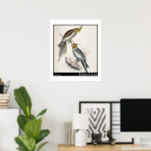 Edward Lear's New Holland Paraket Poster (Thuiskantoor)