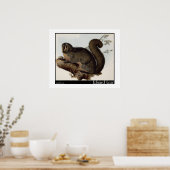 Edward Lear's Whiskered Yarke Poster (Keuken)