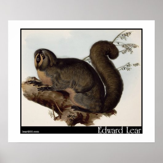 Edward Lear's Whiskered Yarke Poster (Voorkant)