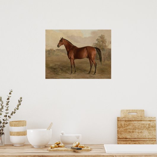 Edward Troye American Horse Kentucky Woodpecker Poster (Keuken)