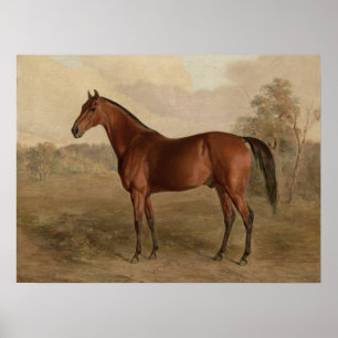 Edward Troye American Horse Kentucky Woodpecker Poster