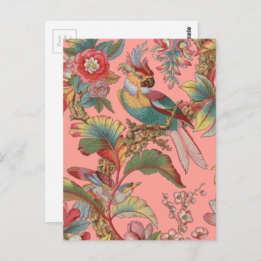 Edwardian Parrot ~ Duchess Briefkaart (Voorkant / Achterkant)