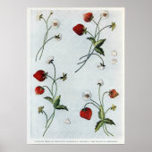 Edwardian Strawberries Poster (Voorkant)