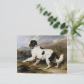 Edwin Henry Landseer Lion A Newfoundland Dog Briefkaart (Staand voorkant)
