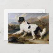 Edwin Henry Landseer Lion A Newfoundland Dog Briefkaart (Voorkant / Achterkant)