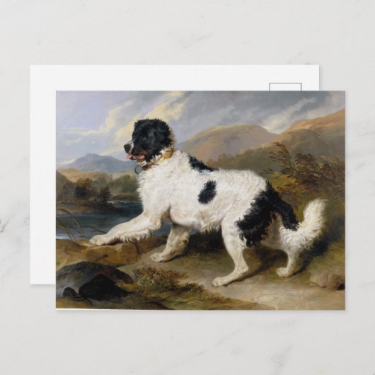 Edwin Henry Landseer Lion A Newfoundland Dog Briefkaart (Voorkant / Achterkant)