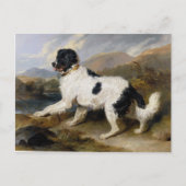 Edwin Henry Landseer Lion A Newfoundland Dog Briefkaart (Voorkant)