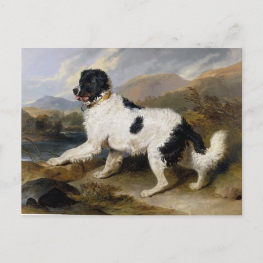 Edwin Henry Landseer Lion A Newfoundland Dog Briefkaart (Voorkant)