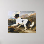 Edwin Henry Landseer Lion A Newfoundland Dog Canvas Afdruk (Voorkant)