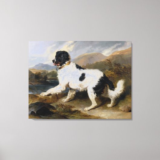 Edwin Henry Landseer Lion A Newfoundland Dog Canvas Afdruk (Voorkant)