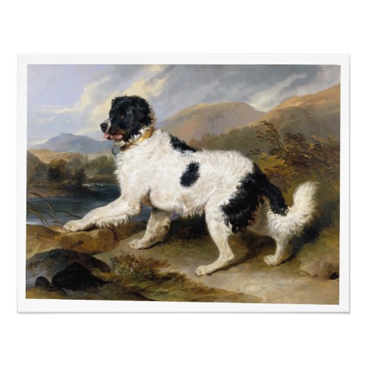 Edwin Henry Landseer Lion A Newfoundland Dog Foto Afdruk (Voorkant)