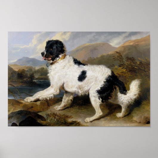 Edwin Henry Landseer | Lion - A Newfoundland Dog Poster (Voorkant)