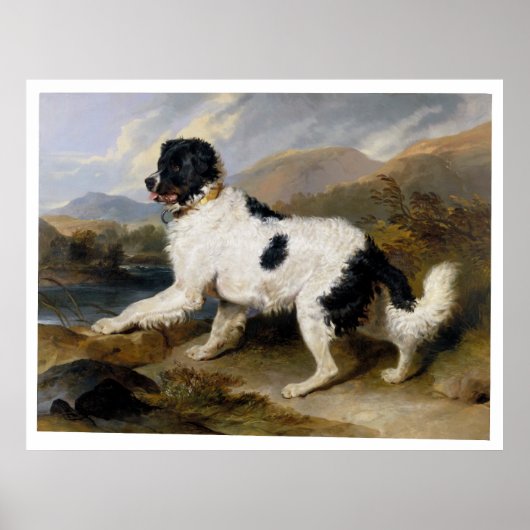 Edwin Henry Landseer Lion A Newfoundland Dog Poster (Voorkant)