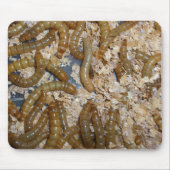 Eeewww... - Mousepad Muismat (Voorkant)