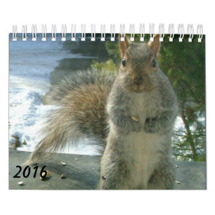 Eekagenda 2016 kalender
