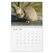 Eekagenda 2016 kalender (Feb 2026)