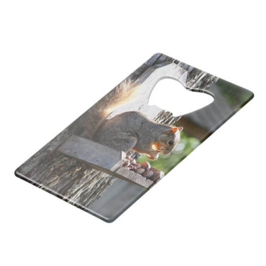 Eekflesopening Creditkaart Flessenopener (Achterkant Gekanteld)