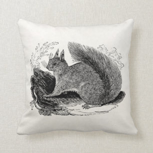Eekhoorn 1800 Eekhoorns Kussen