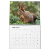 Eekhoorn 2018 kalender (Jan 2027)