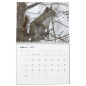 Eekhoorn 2018 kalender (Feb 2027)
