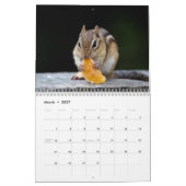 Eekhoorn 2026 kalender (Mar 2027)