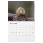 Eekhoorn 2026 kalender (Feb 2027)