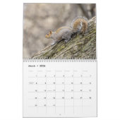 Eekhoorn 2026 kalender (Mar 2026)