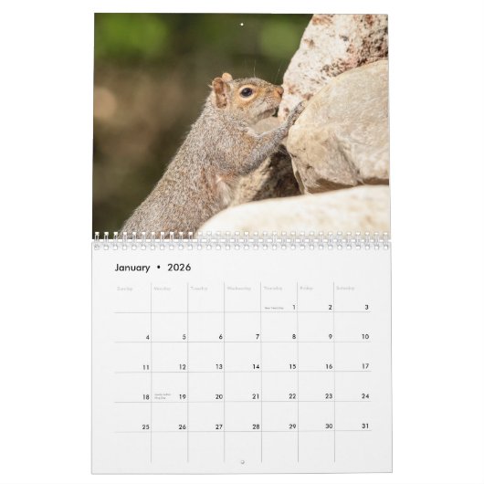 Eekhoorn 2026 kalender (Jan 2026)