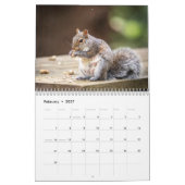Eekhoorn 2026 kalender (Feb 2027)